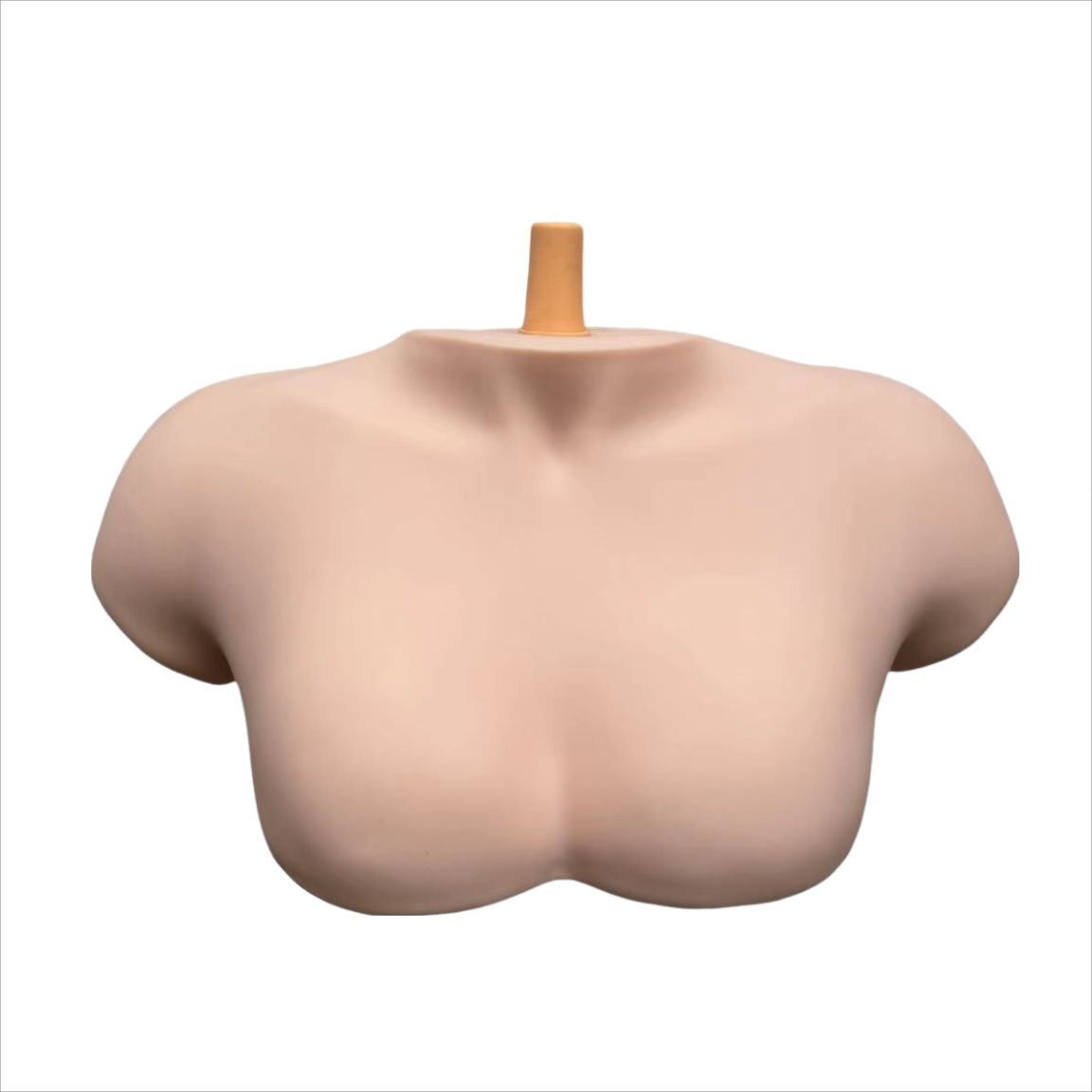 어깨 거치대 통가발용 머리 모형 원형 홀더 헤어 연습용 다이내믹 숄더 프레임 샴페인 - 상품 이미지