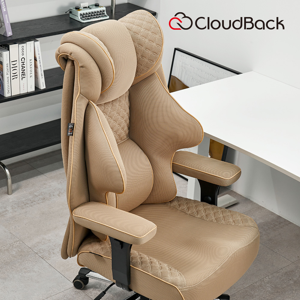 클라우드백 마이사이즈체어 컴퓨터 사무용 사무실 학생 리클라이너 책상 의자 M900MQ 2.0