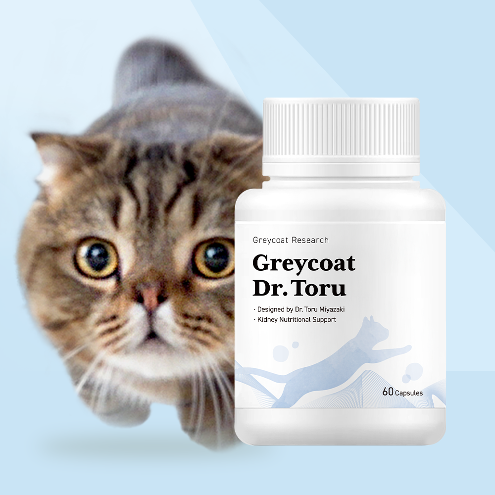야옹섬 고양이 영양제 신장 AIM 닥터토루 신부전 미야자키 토루 2개월 60캡슐, 1개