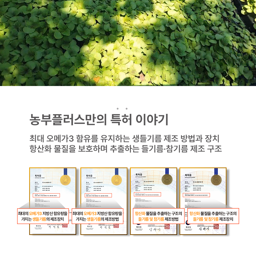 국산 냉압착 생들기름 스틱 30포 농부플러스 이미지 2