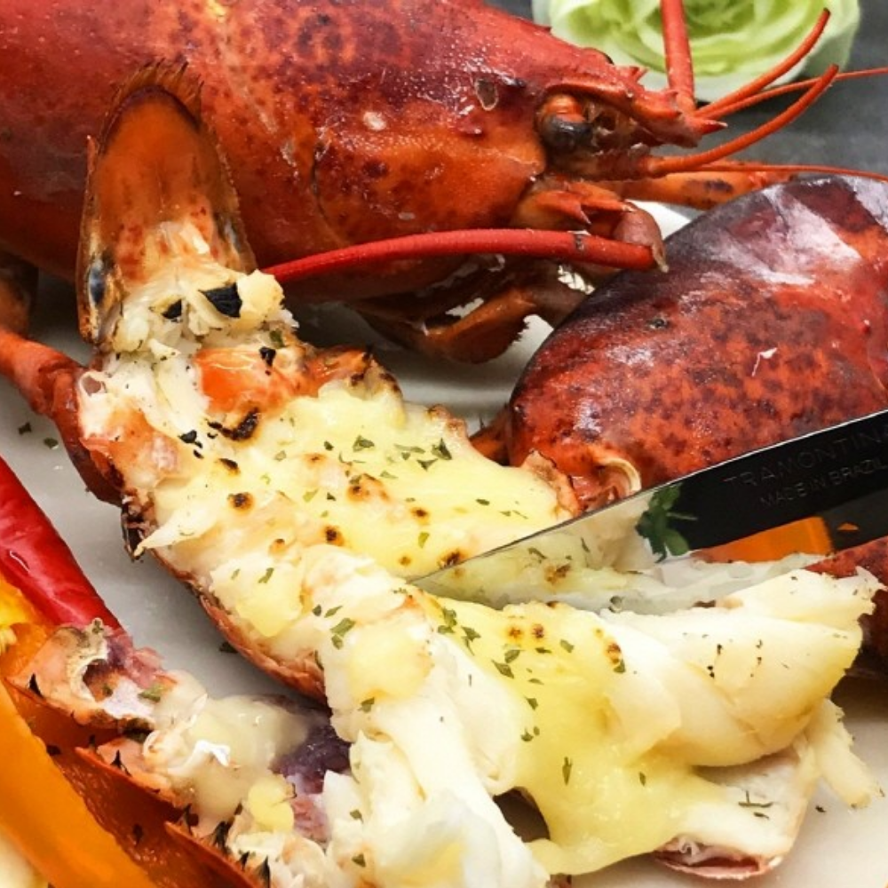 캐나다산 연안 활 랍스타 500g 항공직송 생물 랍스터 이미지 6