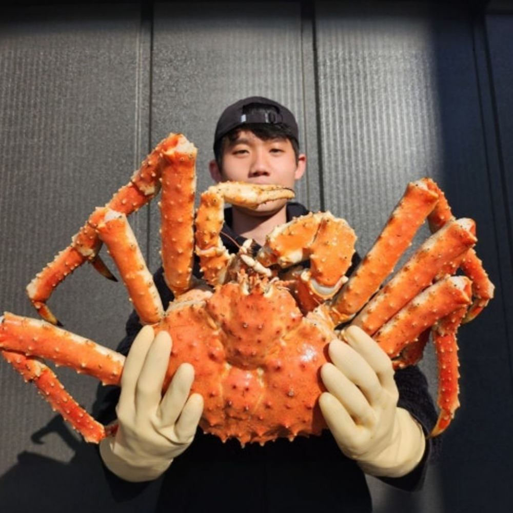 러시아 킹크랩 레드킹크랩 대게 선어 시세 활 블루 레드 브라운 자숙 싯가 섹션 - 상품 이미지