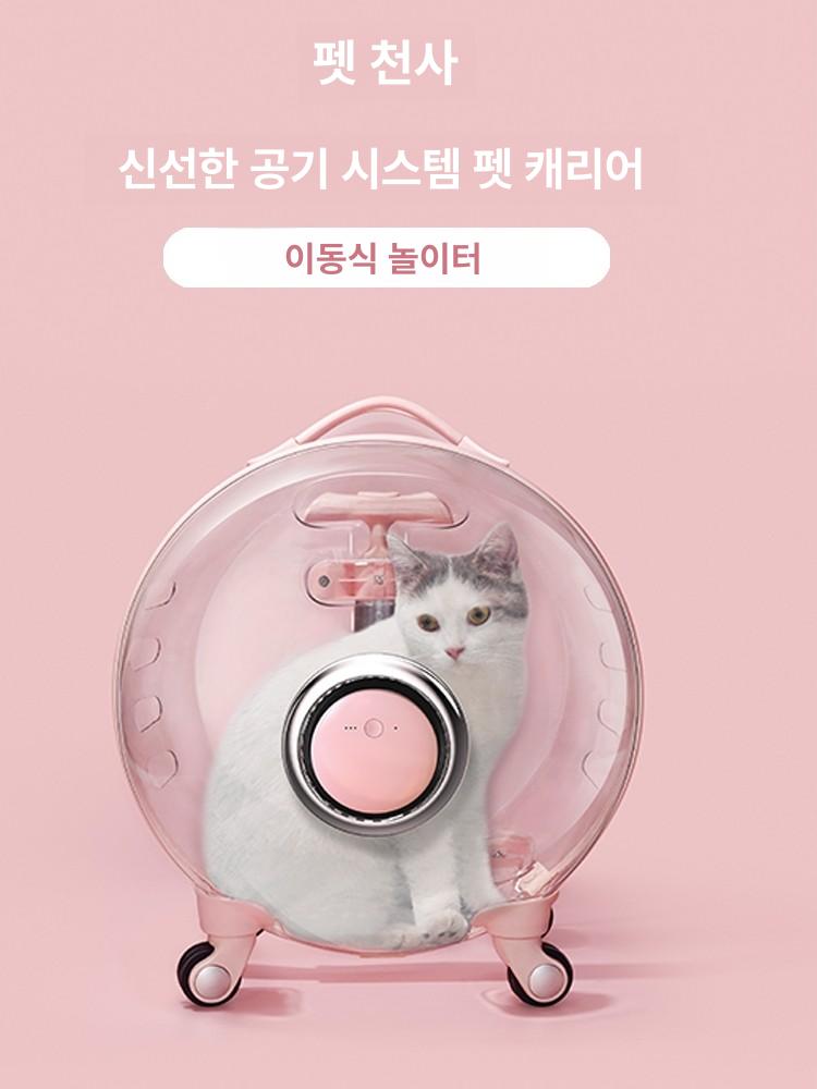 고양이 강아지 투명 캐리어 배낭 휴대용 애완동물 가방 6.5kg 고양이 4.0kg 강아지 쿠션 포함 - 상세 이미지 4