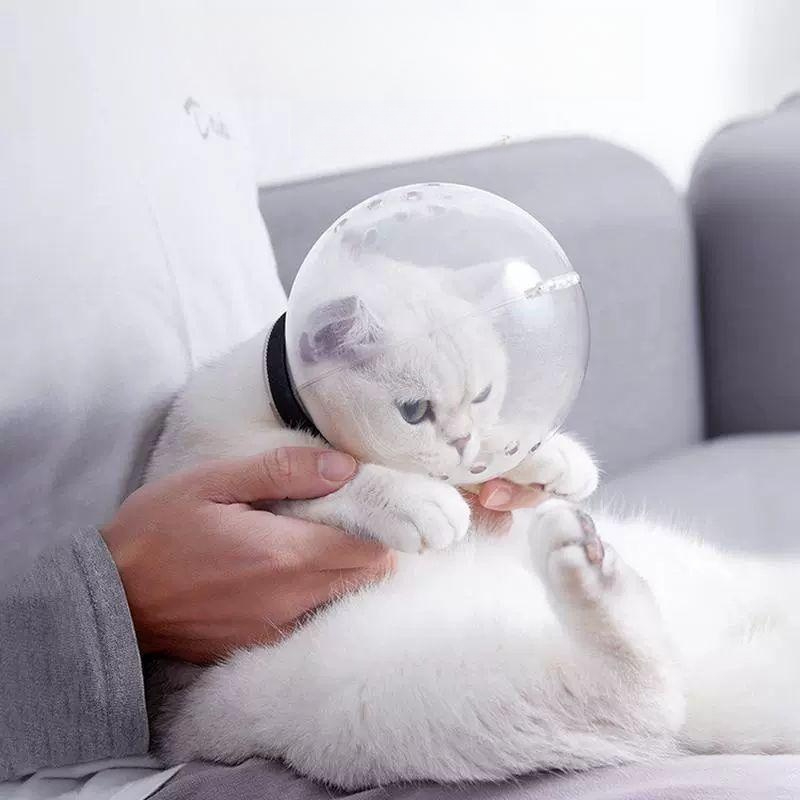 고양이 손톱깎이 덮개 헤드커버 애견 머리 보호 투명 L 목둘레23 27cm얼굴너비12.5cm이내 - 상품 이미지