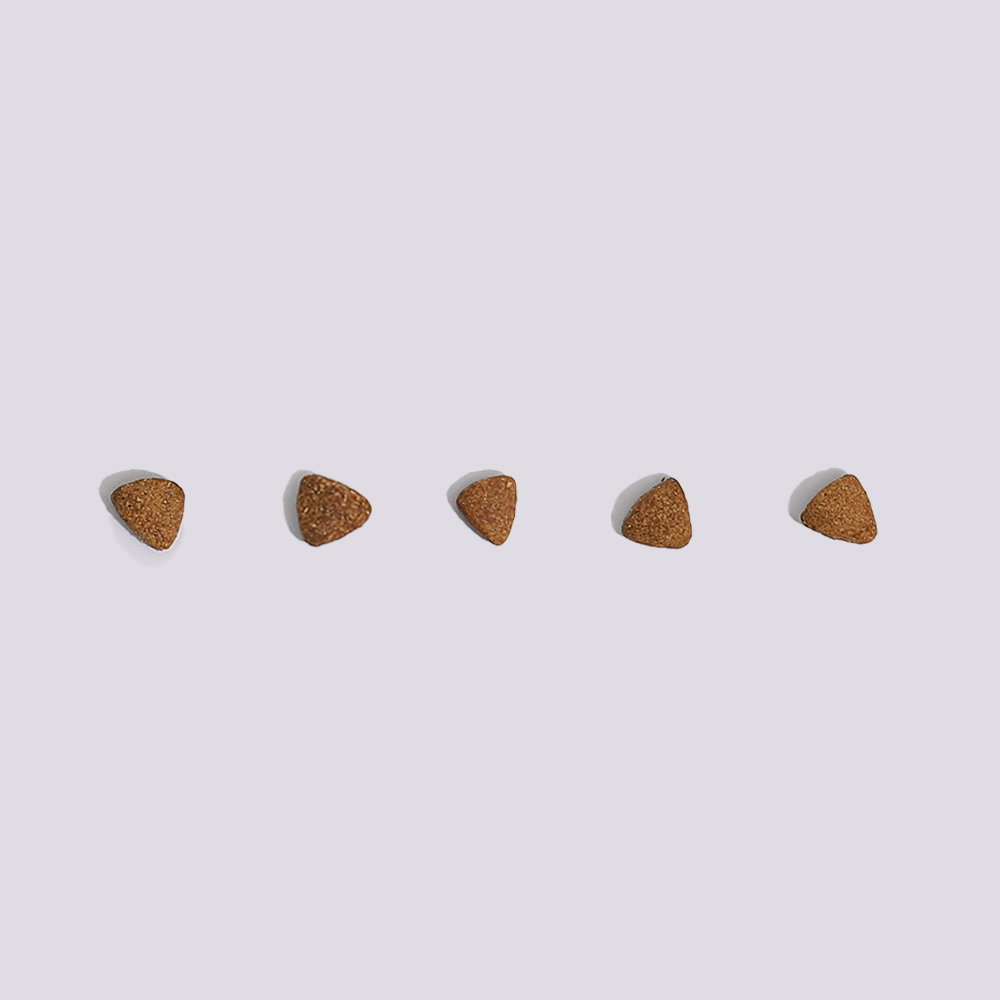 마이펫닥터 시그니처 캣푸드 슬림 솔루션 고양이 처방식 사료 다이어트+체중관리, 2kg, 1개 이미지 6