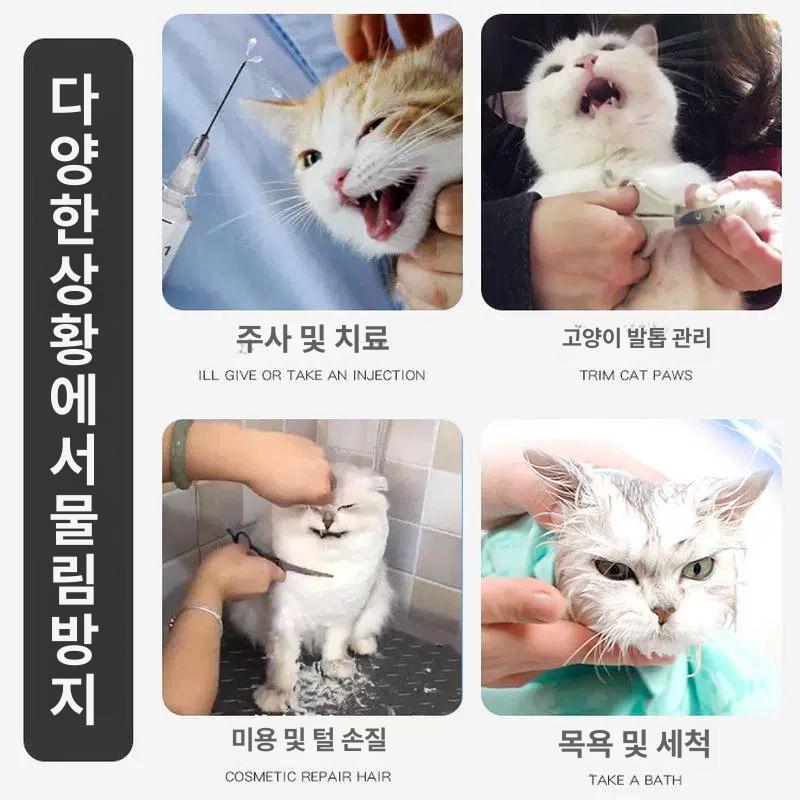고양이 손톱깎이 덮개 헤드커버 애견 머리 보호 투명 L 목둘레23 27cm얼굴너비12.5cm이내 - 상세 이미지 2