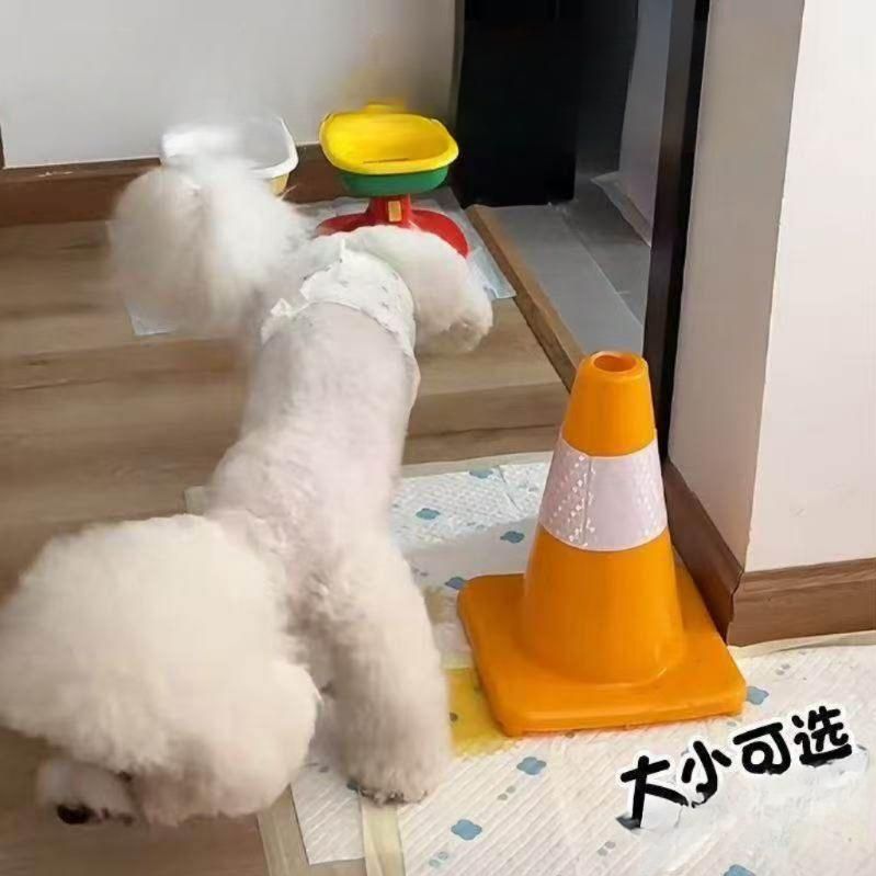 수컷 강아지 배뇨 가능한 표시기 기저귀 습윤 애완동물 소형 고흡수성 훈련 - 상세 이미지 2