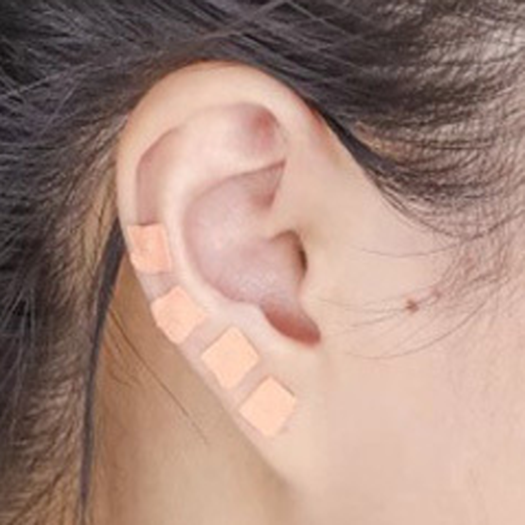 귀지압패치 600개 2세트 귀지압점 스티커 콩알 붙이는 테이프 이어 테라피 마사지 지압 - 상세 이미지 2
