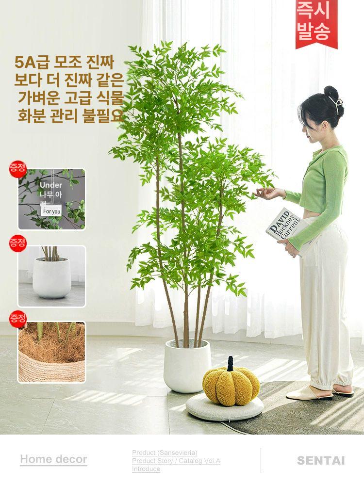 인조 포토존 장식 몬스테라 촬영 소품 매장 인테리어 1.6m 고급 난디나 + 화이트 사각 화분 - 상세 이미지 2