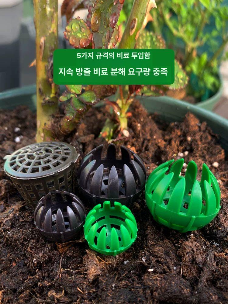알비료 케이스 화분 대용량 가드닝 난초 다육 원예용 구형 비료함 소형 그린 5개입 - 상세 이미지 5