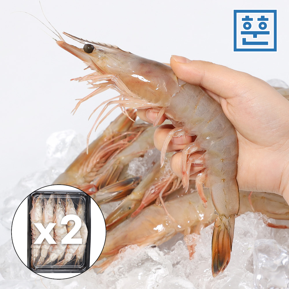 훈훈수산 제철 자연산 대하 암 서해 국내산 특대 왕새우 1kg, 2개