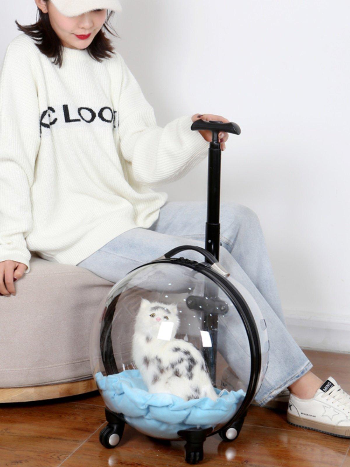 고양이 강아지 투명 캐리어 배낭 휴대용 애완동물 가방 6.5kg 고양이 4.0kg 강아지 쿠션 포함 - 상세 이미지 5