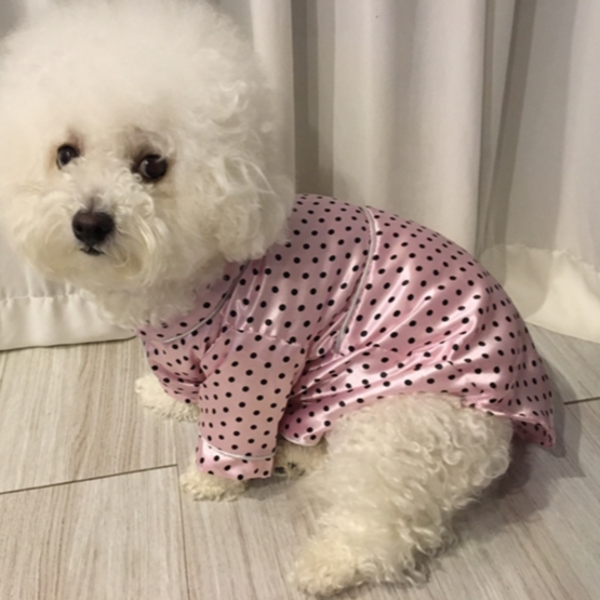 땡땡이 강아지 잠옷 데일리룩 강아지 파자마 산책복 가을 - 상품 이미지