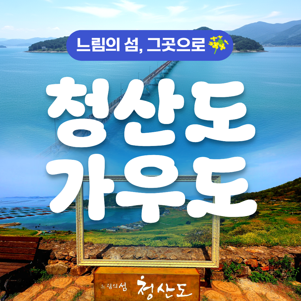 KTX 남도 진수성찬 강진가우도 청산도 1박 2일 기차여행 패키지 뚜벅이 버스 백련사 4식 제공 - 상품 이미지