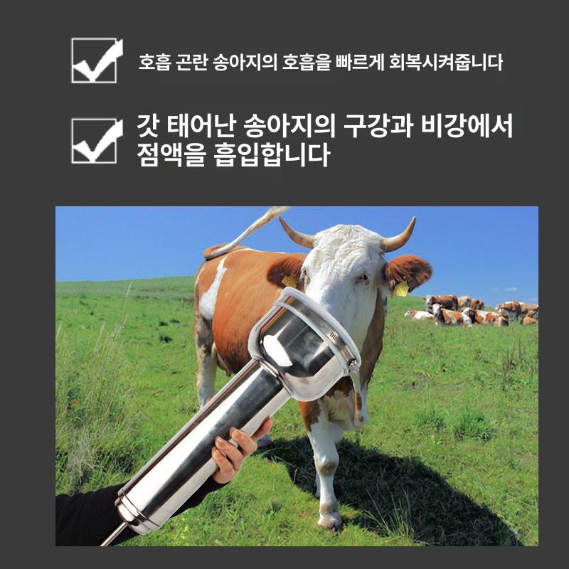 가축 호흡기 펌프 양수 가래 제거기 장비 인공호흡 배출 펌핑 나일론 호흡장비 스테인레스 - 상세 이미지 4