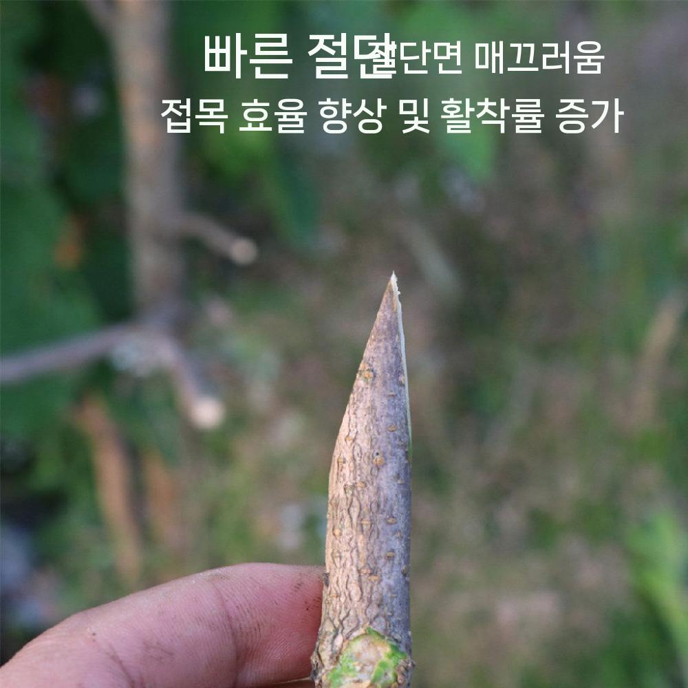 원예 나뭇가지 접목가위 자르기 도구 접목기 접목 접목 전단+필름 2개 - 상세 이미지 4