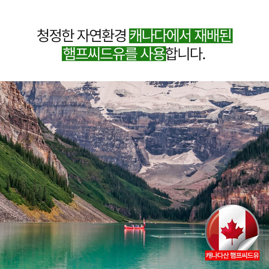 캐나다 햄프씨드 송침유 효능 파워 1+1개더 솔잎 파인 증류 농축액 적송유 추출물 8개월 - 상세 이미지 5