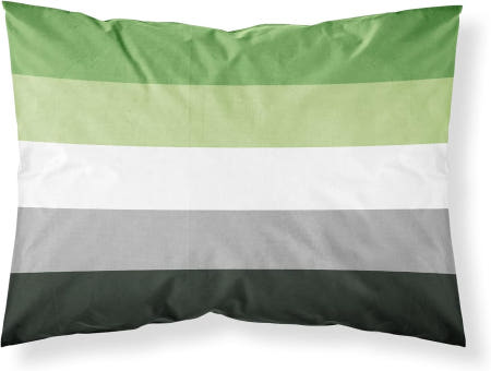 [해외]캐롤라인의 보물 CK8000PILOWCASE 아로만틱 프라이드 패브릭 표준 베개 커버 경량 슈퍼 소프트 이지 케어 장식 아트워크