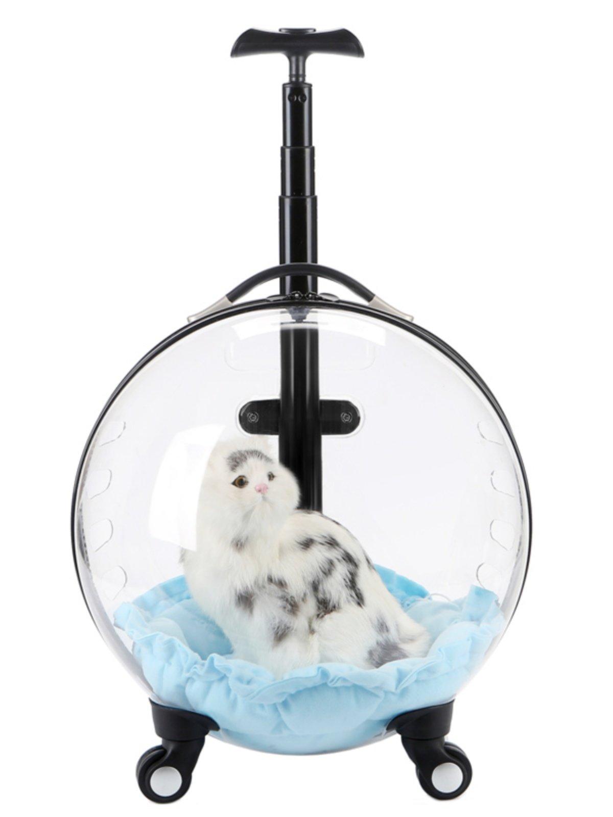 고양이 강아지 투명 캐리어 배낭 휴대용 애완동물 가방 6.5kg 고양이 4.0kg 강아지 쿠션 포함 이미지 6