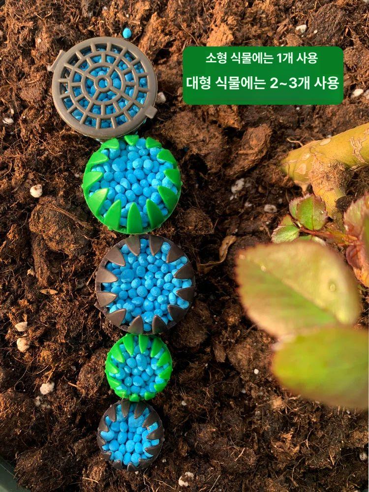 알비료 케이스 화분 대용량 가드닝 난초 다육 원예용 구형 비료함 소형 그린 5개입 - 상세 이미지 4