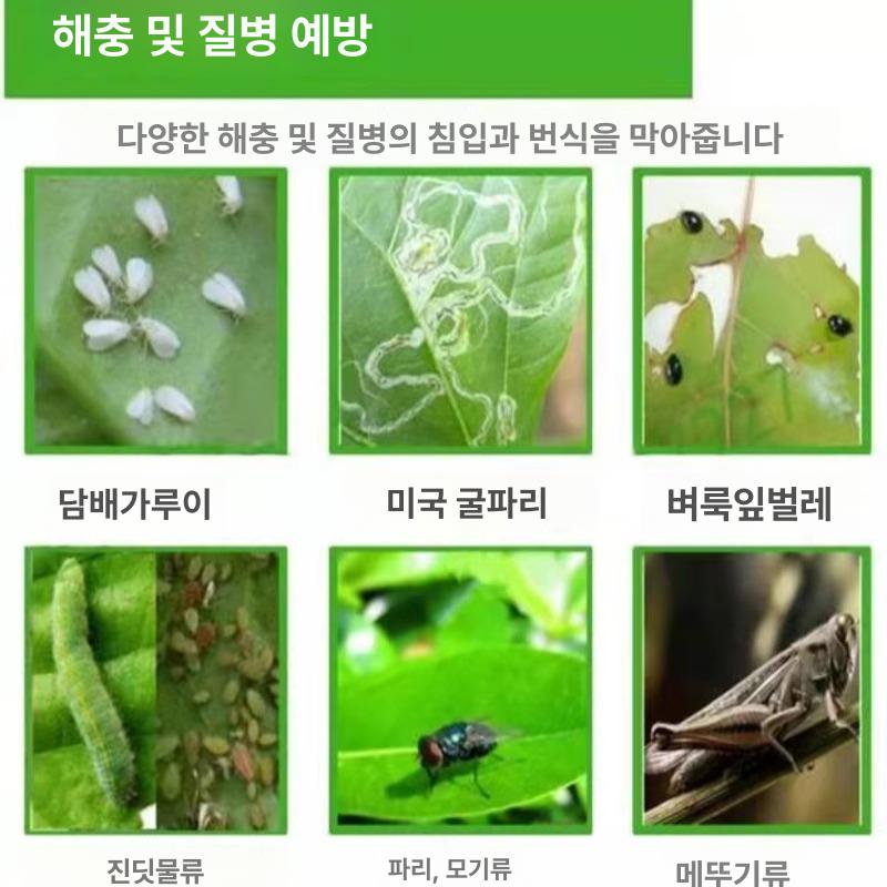 농사용 방충망 비닐 메쉬 원예용 채소 보호망 해충방지망 1m x 1m - 상세 이미지 3