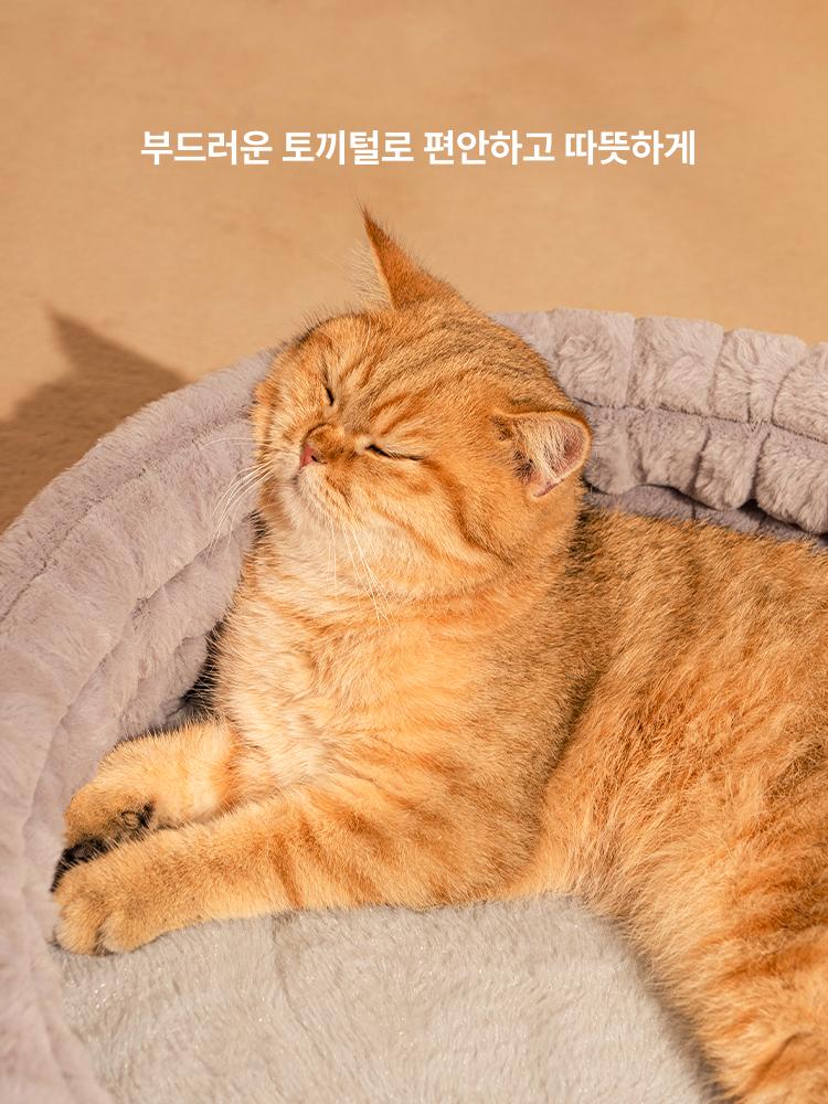고양이 숨숨집 분리세탁 사계절 방수 야외 따뜻한 탈부착 디럭스 풀커버 그레이 두꺼운 토토로 3D 방풍 M 7.5kg이하 - 상세 이미지 3