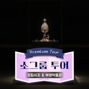 [부모분리/동반] 국립부여박물관 정림사지 프리미엄 투어 | 6~10명 내... 솔직 후기 | 실사용자 리뷰 분석 - 상품 이미지 1