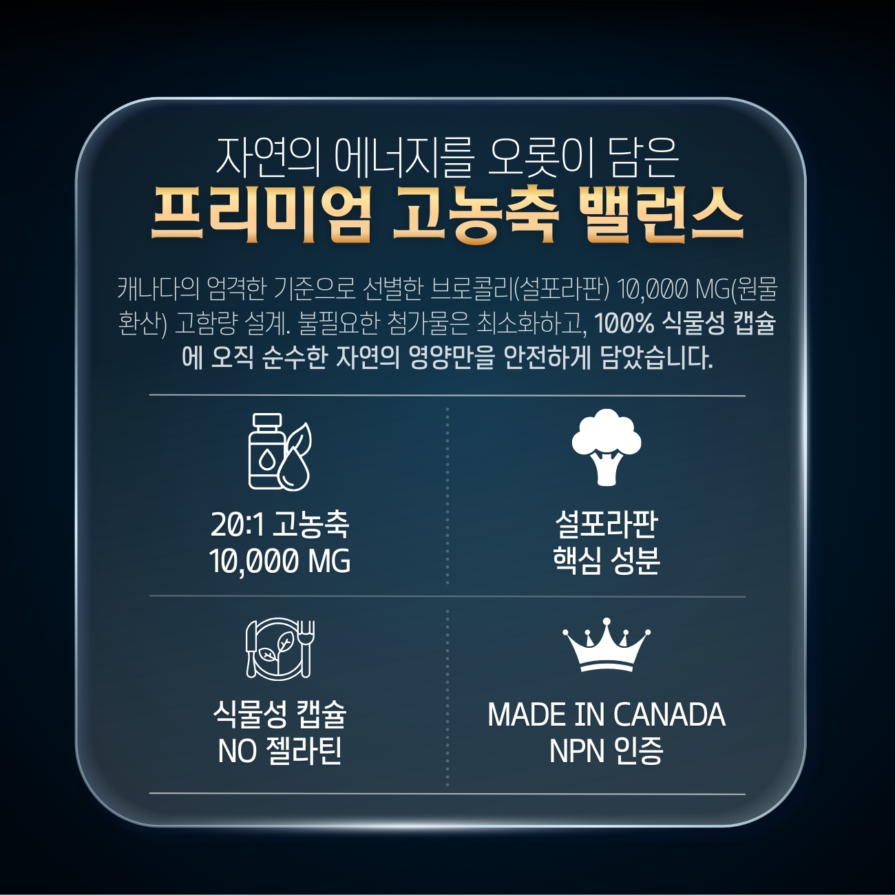 브로콜리 추출물 10000mg 20배농축 120캡슐 2병 설포라판 이미지 4
