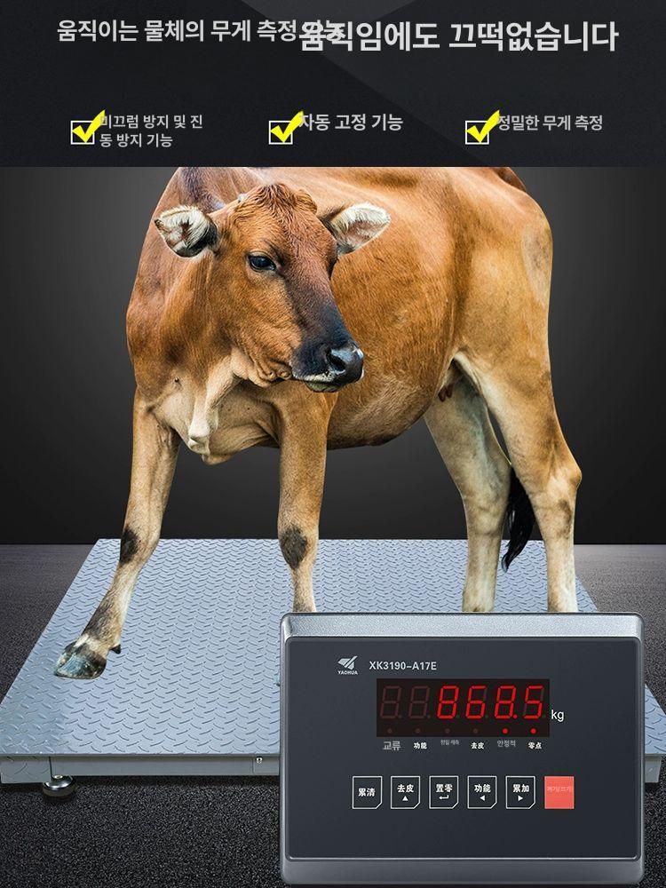 저울 바닥 산업용 농업용 무게 톤백 대형 측정 1급 보강 1.2 1.5m 0 3t - 상세 이미지 2