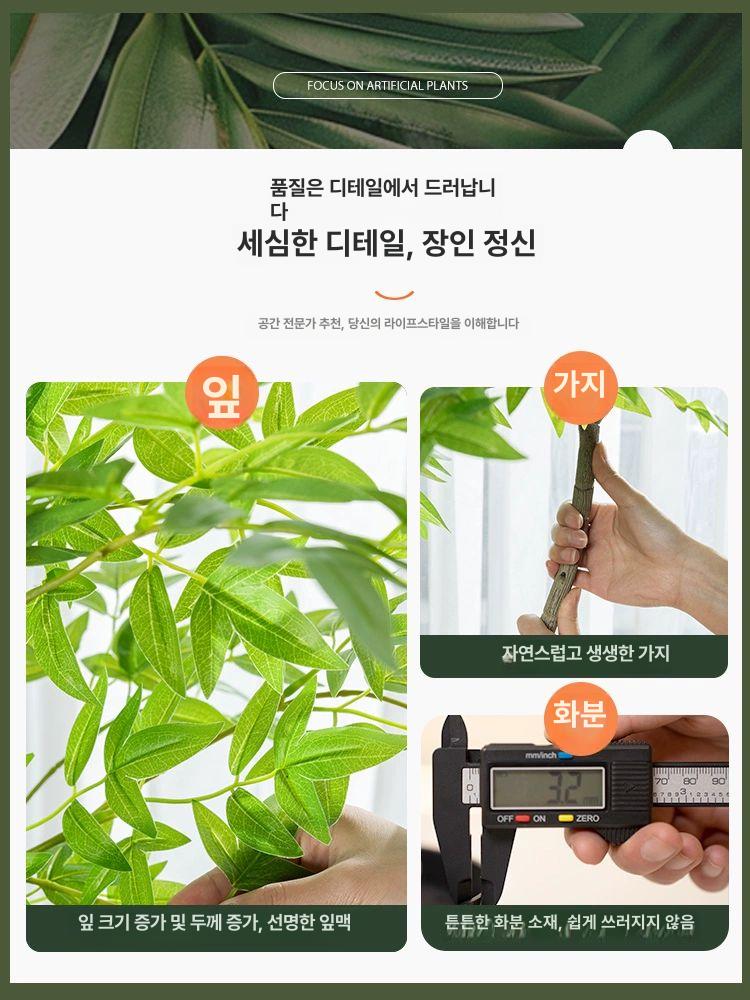 인조 포토존 장식 몬스테라 촬영 소품 매장 인테리어 1.6m 고급 난디나 + 화이트 사각 화분 - 상세 이미지 5