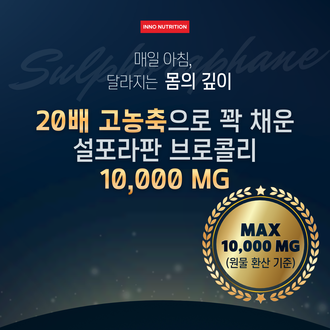 브로콜리 추출물 10000mg 20배농축 120캡슐 2병 설포라판 이미지 2