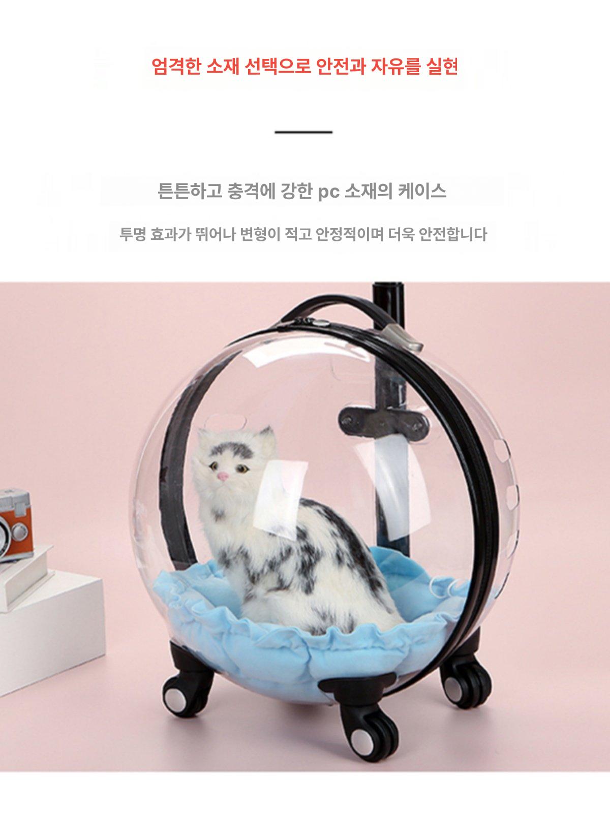 고양이 강아지 투명 캐리어 배낭 휴대용 애완동물 가방 6.5kg 고양이 4.0kg 강아지 쿠션 포함 - 상세 이미지 3