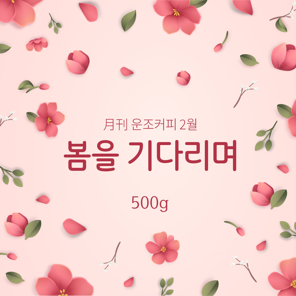 운조커피 월간커피 2월 봄을 기다리며 500g 원두커피 - 상품 이미지