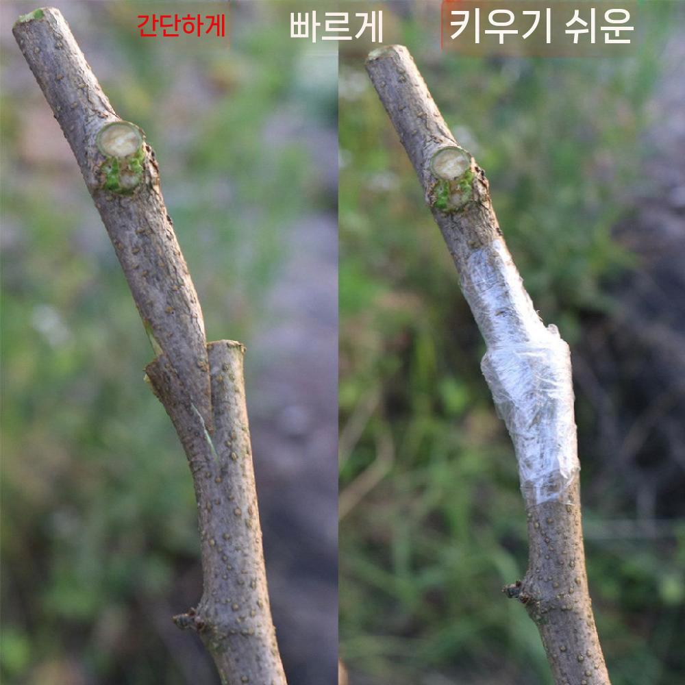 원예 나뭇가지 접목가위 자르기 도구 접목기 접목 접목 전단+필름 2개 - 상세 이미지 5