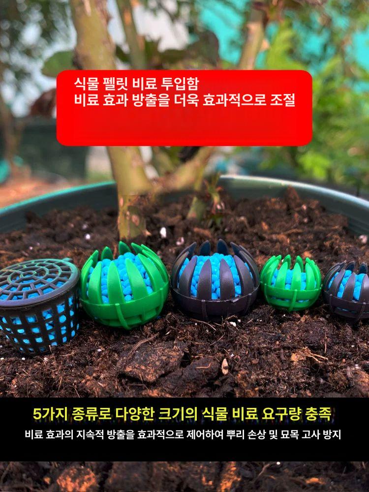 알비료 케이스 화분 대용량 가드닝 난초 다육 원예용 구형 비료함 소형 그린 5개입 - 상세 이미지 2