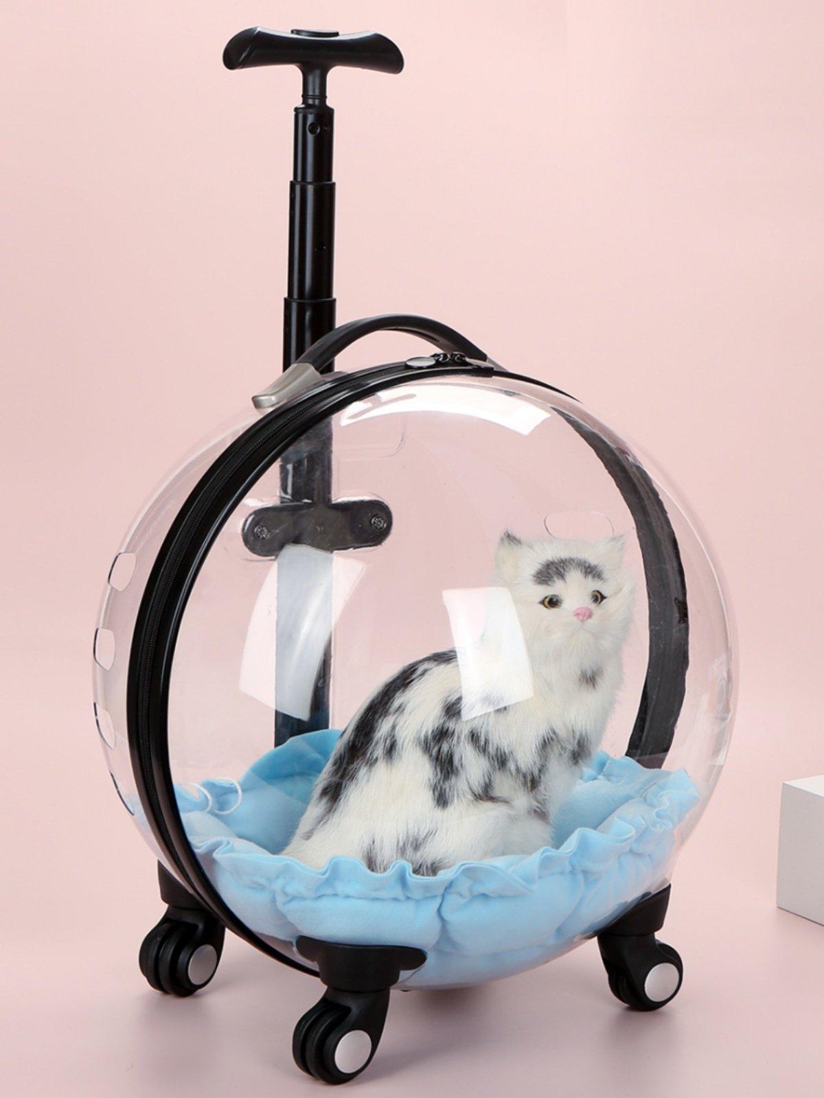 고양이 강아지 투명 캐리어 배낭 휴대용 애완동물 가방 6.5kg 고양이 4.0kg 강아지 쿠션 포함 - 상세 이미지 2