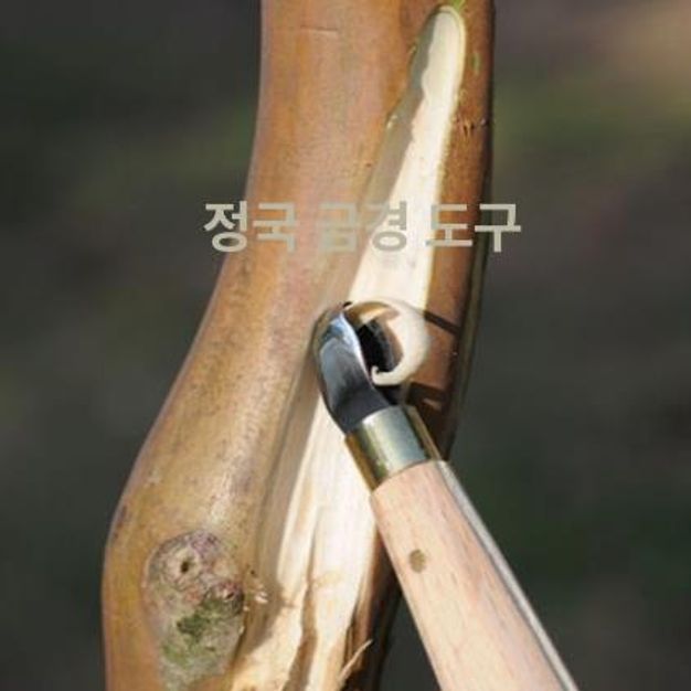 분재가위 조각칼 정원 삼각목 분재 접목 사리조각도 가지치기 - 상세 이미지 5