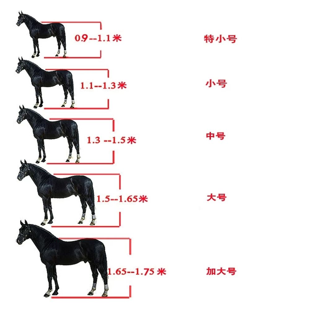 리멤버셀 말 고삐 마방 컬러 마구간 로프 말용품 조련 견마끈 굴레 레이싱 A. 빨간색 - 상세 이미지 5