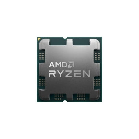 AMD AMD 라이젠9-5세대 7900 (라파엘) (멀티팩 벌크 쿨러x 정품)