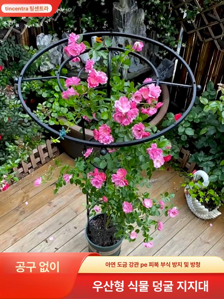 식물 지지대 덩굴 코팅 지주대 가드닝 소품 원예용 텃밭 화이트 싱글 링 20x높이 110cm - 상세 이미지 2