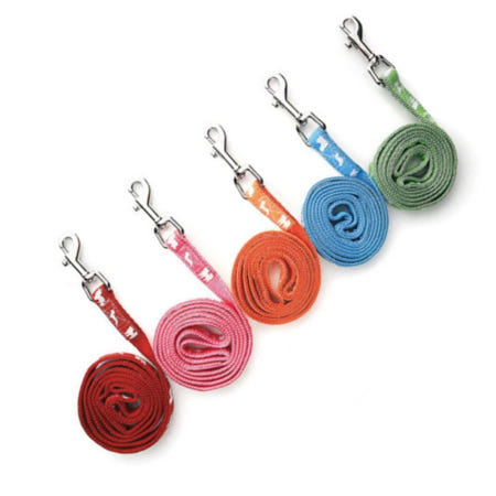 마켓다인67 목줄세트도그형광15mm 랜덤 강아지산책목줄