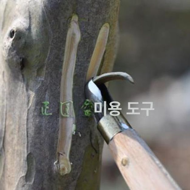 분재가위 조각칼 정원 삼각목 분재 접목 사리조각도 가지치기 - 상세 이미지 2