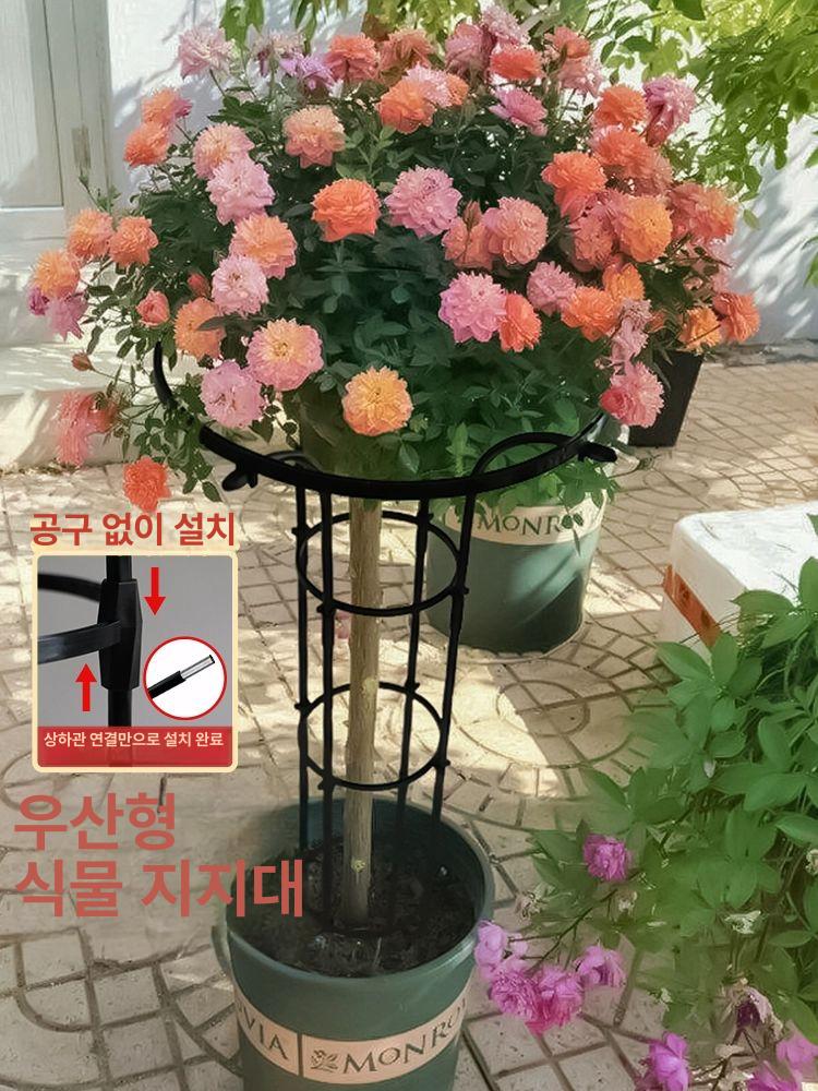 식물 지지대 덩굴 코팅 지주대 가드닝 소품 원예용 텃밭 화이트 싱글 링 20x높이 110cm - 상세 이미지 3