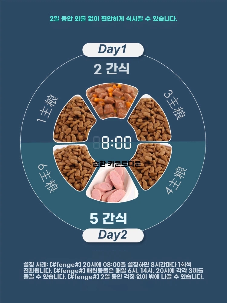 반려동물 자동 회전 급식기 배식기 급여기 간식 고양이 A. 6끼 스마트 피더 - 상세 이미지 4