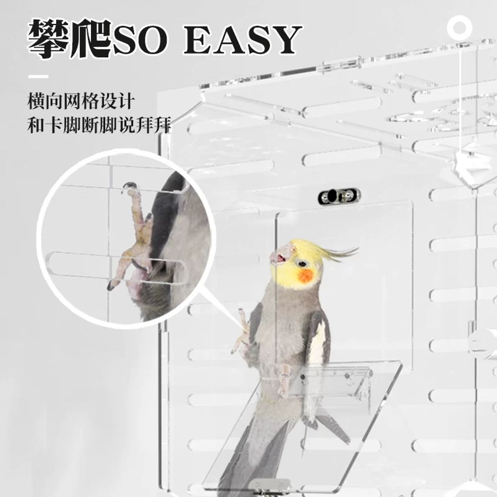 가정용 아크릴새장 관상용 대형앵무새장 - 상세 이미지 4