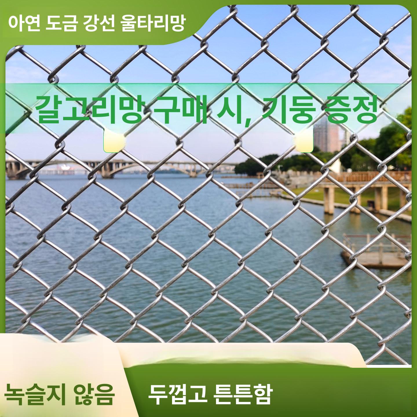 양계망 능형망 철망 휀스 2m 안전망 염소 구멍 7cm 그물망 닭장망 사육장 철조망 안전 - 상세 이미지 3