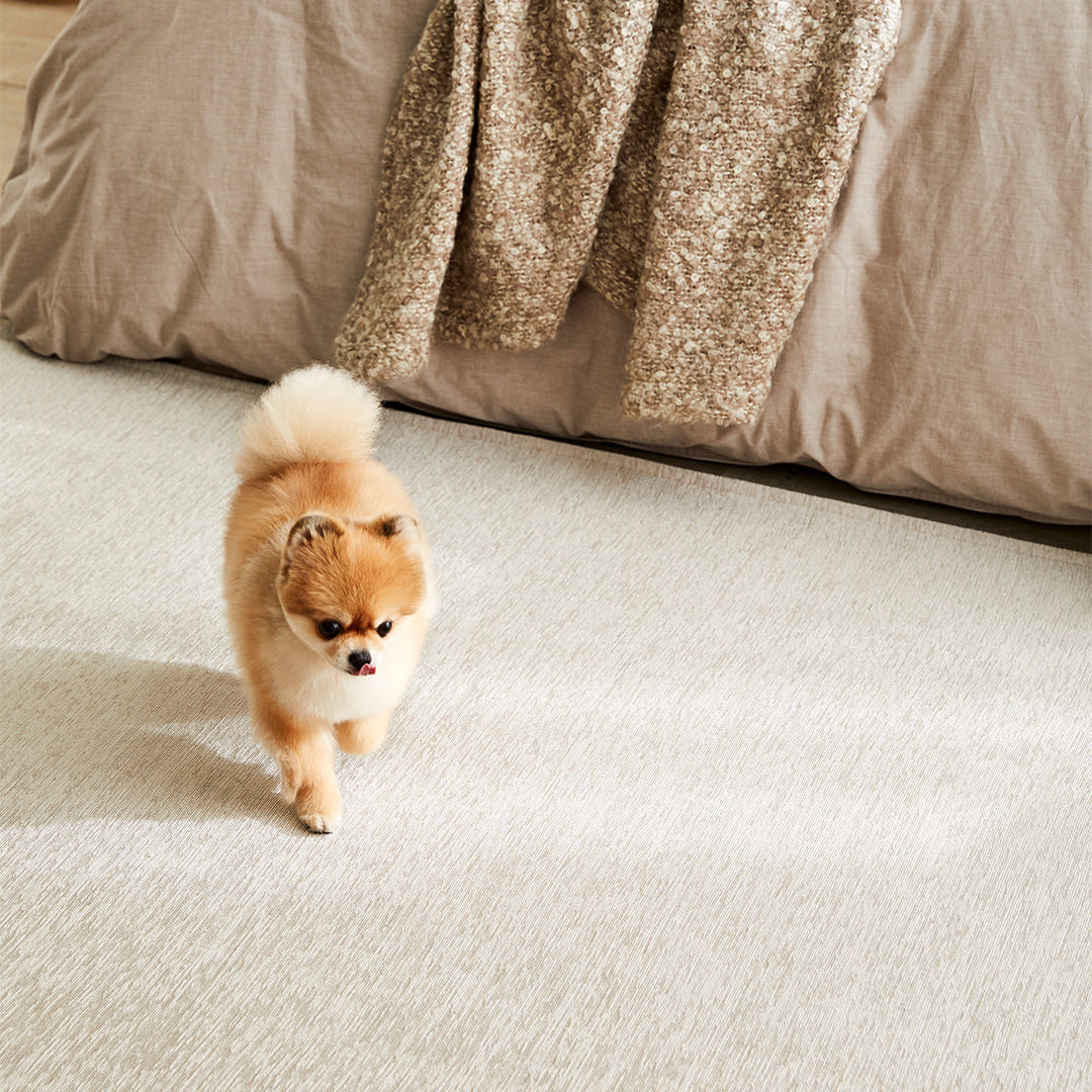 펫토 코코 러그 카페트 미끄럼방지 강아지 고양이 매트 다용도형(75 x 200cm)