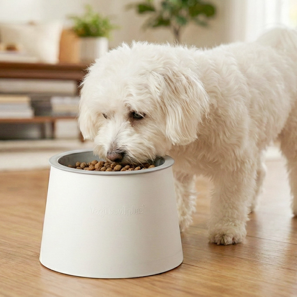 요기펫 강아지밥그릇 고양이 물그릇 애견 식기 요기 스탠드 밥그릇