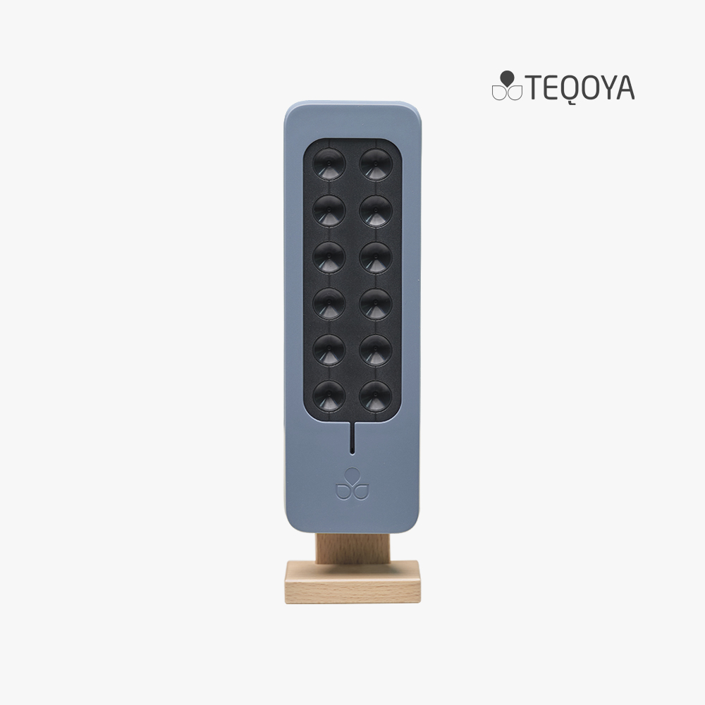 테코야 룸 200 블루 필터없는 공기청정기 음이온 소형 원룸