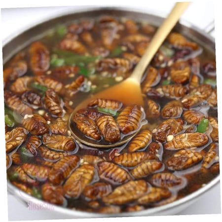 상세참조 대건 냉동 번데기 대용량번데기 영양간식 기본안주 4kg 캠핑간식